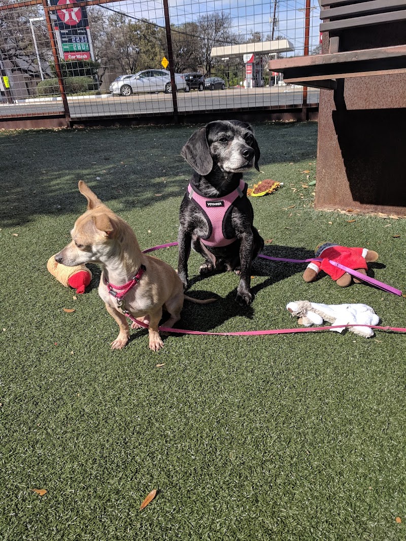 APA! Tarrytown Dog Adoption Center photo 2