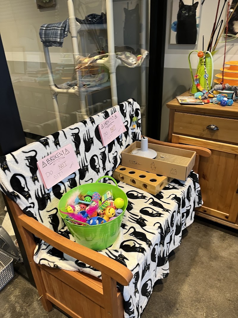 APA! Tarrytown Dog Adoption Center photo 3