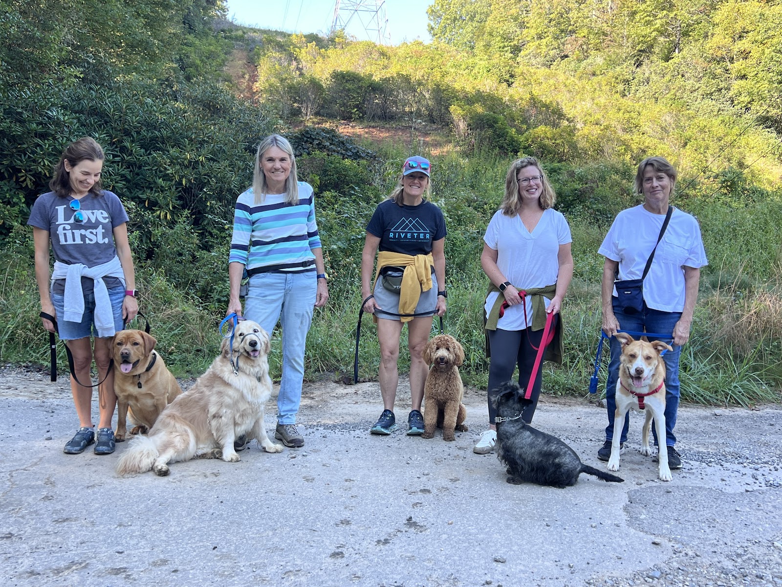 Appalachian Dog Training