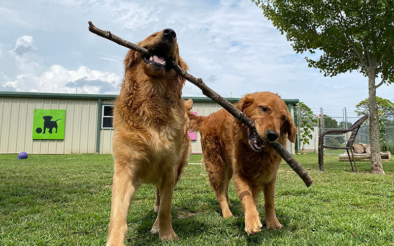 Aqua Animal Care Center