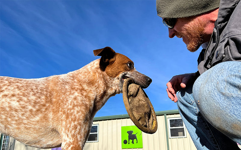 Aqua Animal Care Center photo 3