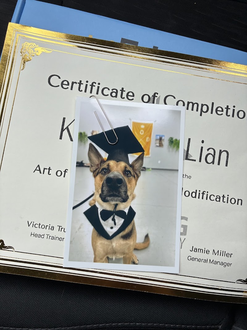 Art of the Dog Canine Academy photo 3