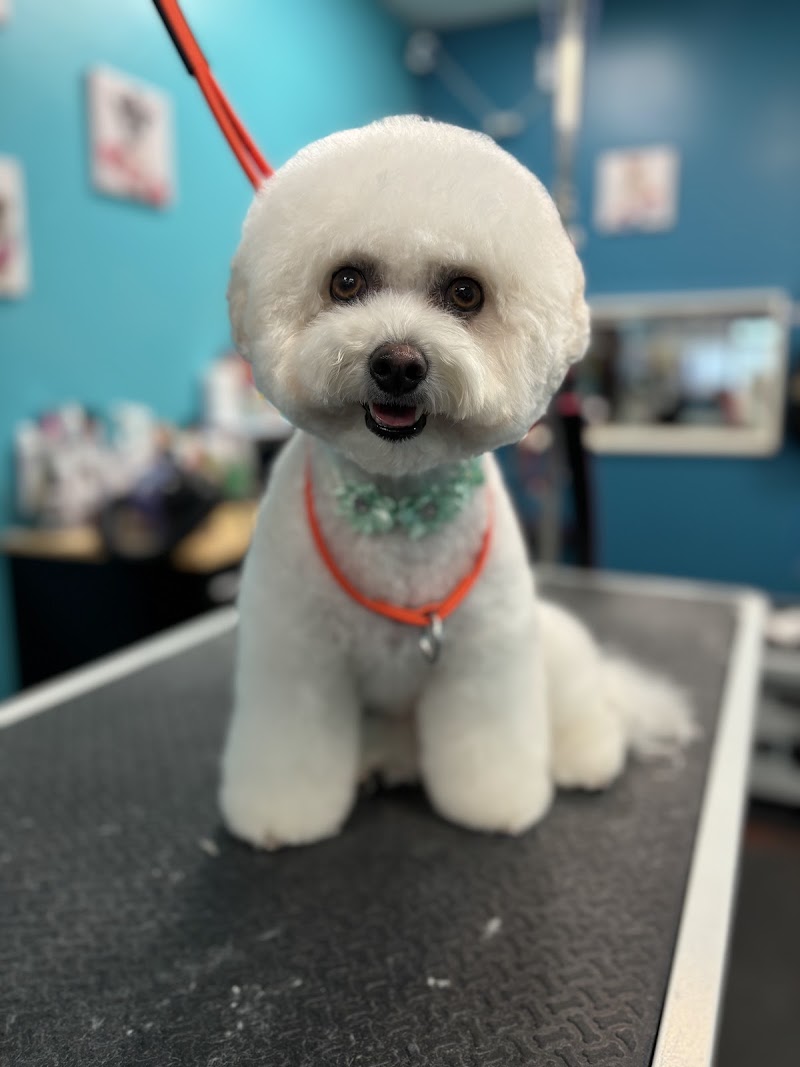 As the Fur Flies photo 2