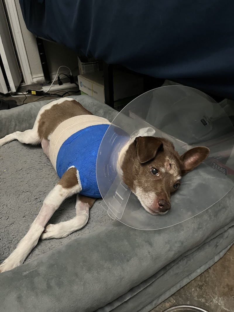 ASAP Vet: Veterinary Urgent Care