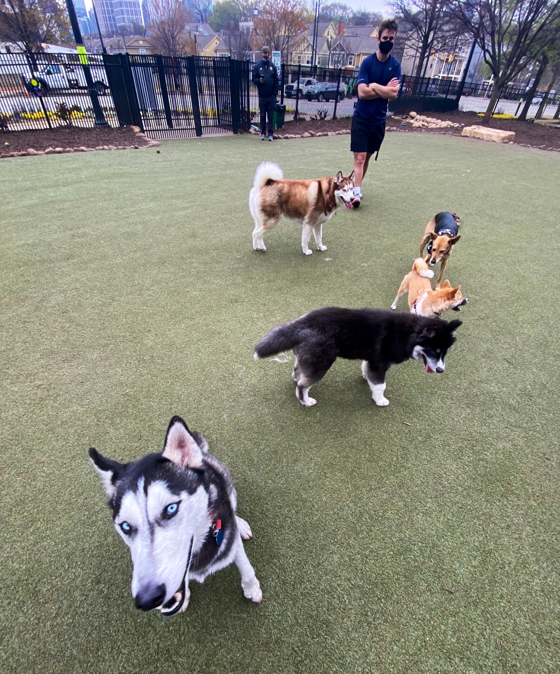 Atlantic Station Dog Park