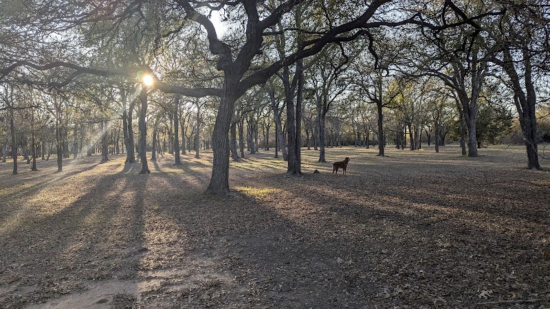 Auditorium Shores Dog Park photo 3