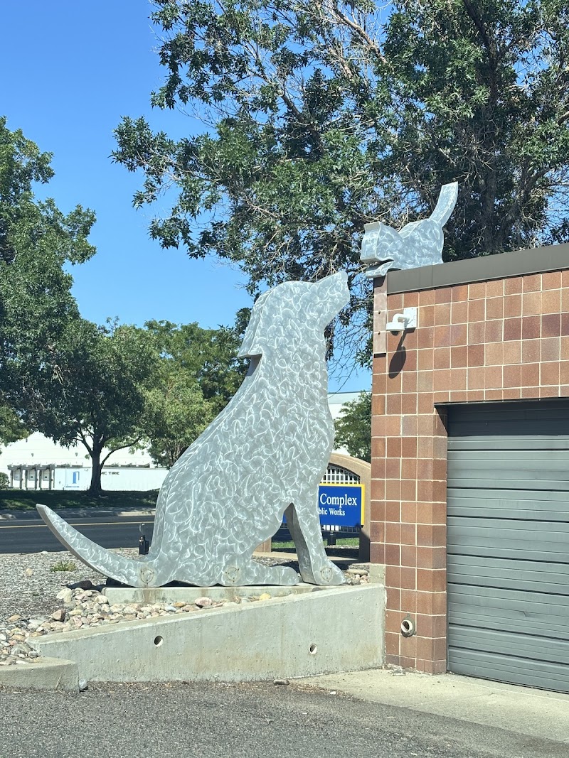 Aurora Animal Shelter