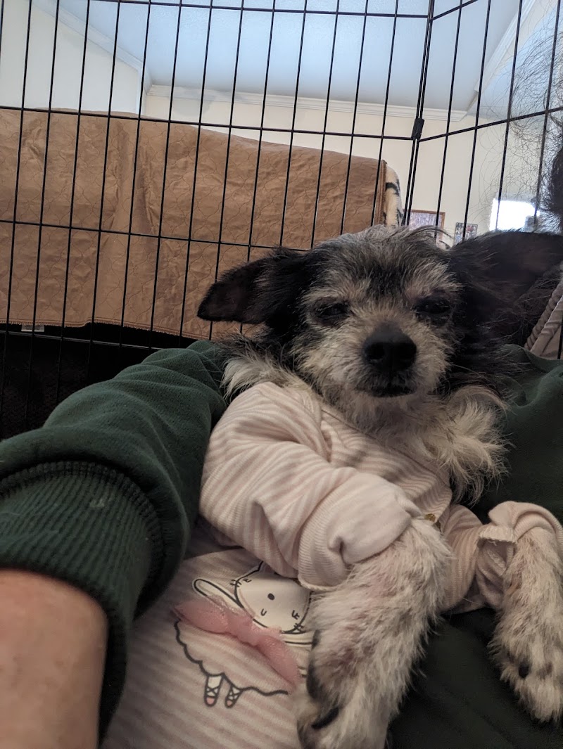 Aurora Animal Shelter photo 3