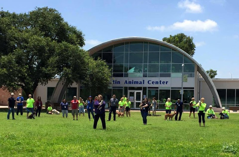 Austin Animal Services