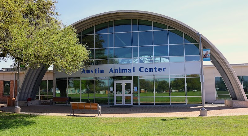 Austin Animal Services photo 3