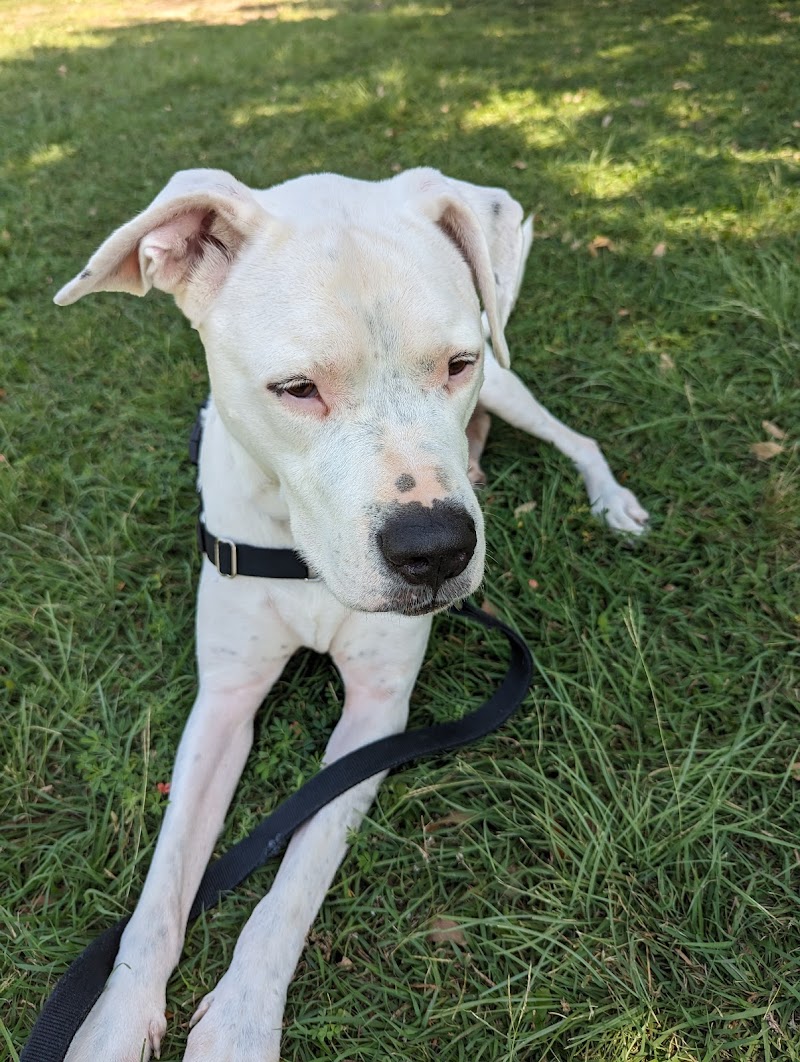 Austin Humane Society