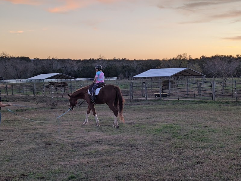 Austin Pet Ranch photo 3