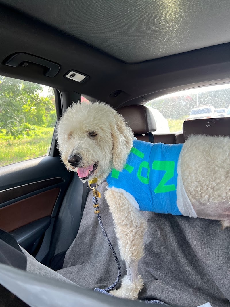 Austin Veterinary Emergency and Specialty