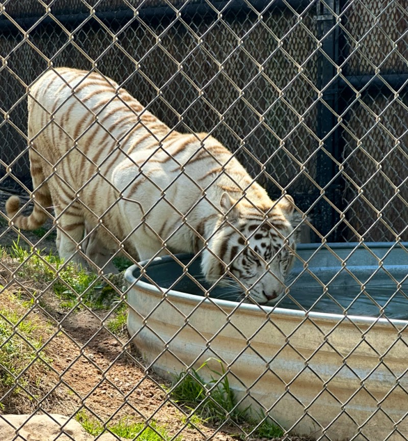 Austin Zoo photo 2