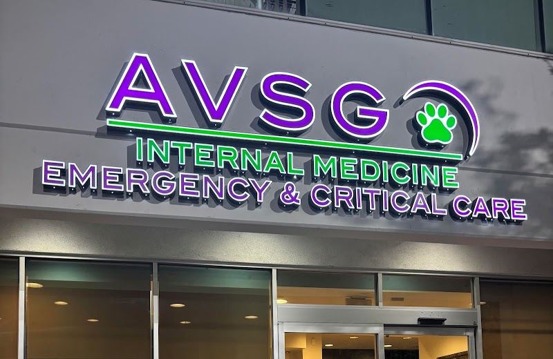 AVSG Internal Medicine Emergency & Critical Care
