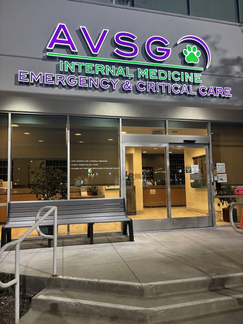 AVSG Internal Medicine Emergency & Critical Care photo 2