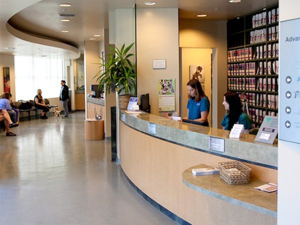 AVSG Internal Medicine Emergency & Critical Care photo 3