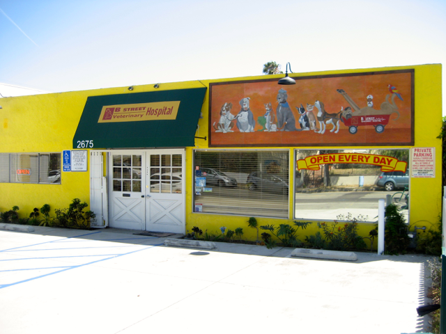 B Street Veterinary Hospital