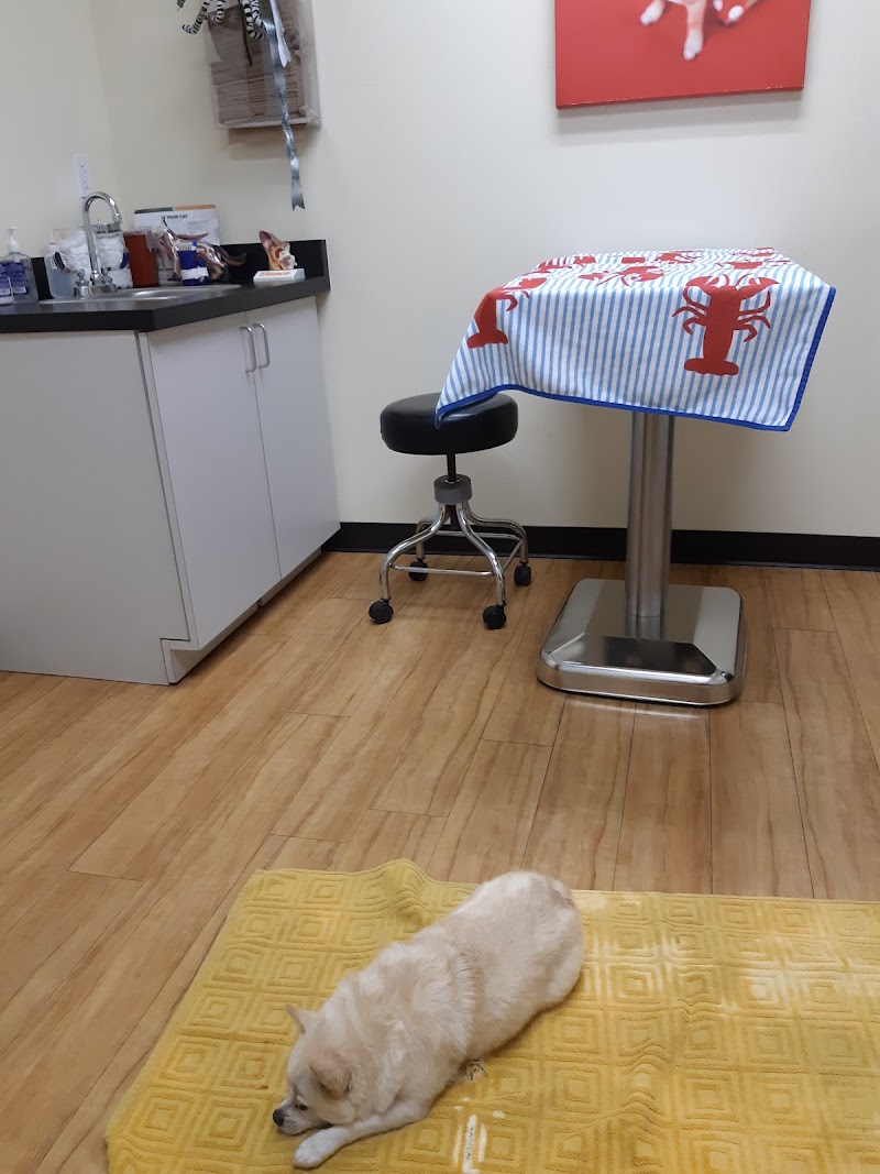 B Street Veterinary Hospital photo 3