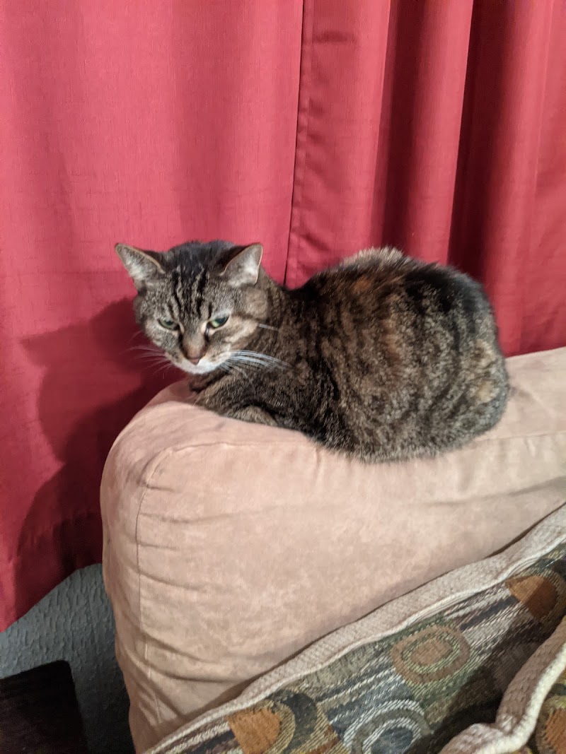 VetSelect Animal Hospital of Dearborn photo 2