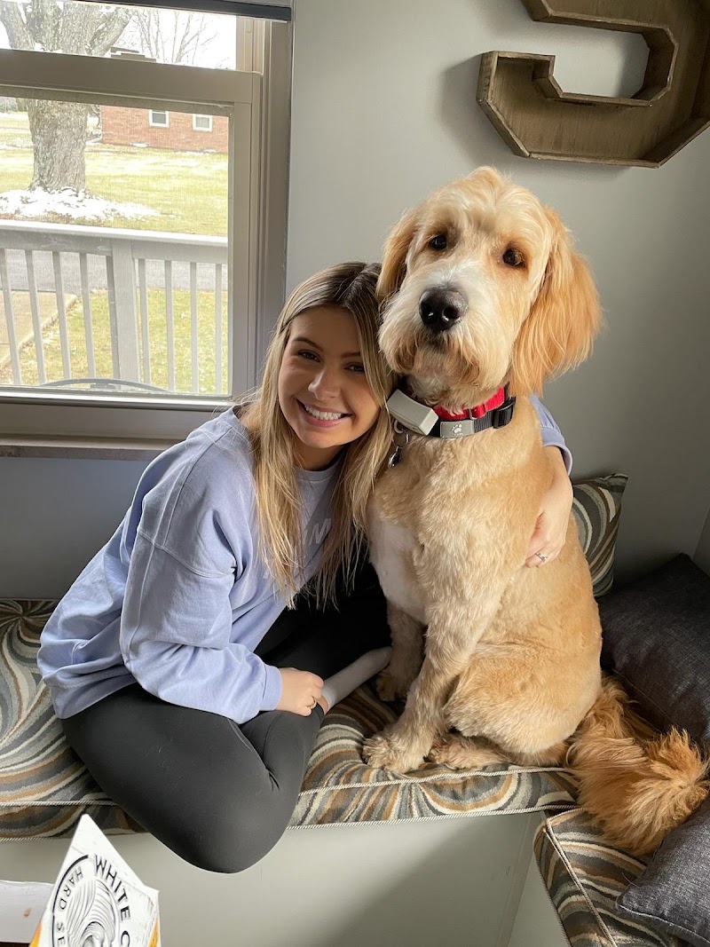 Under One Woof photo 2