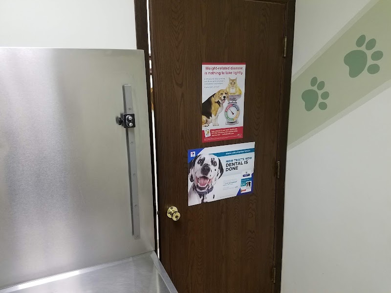 Southwest Animal Hospital