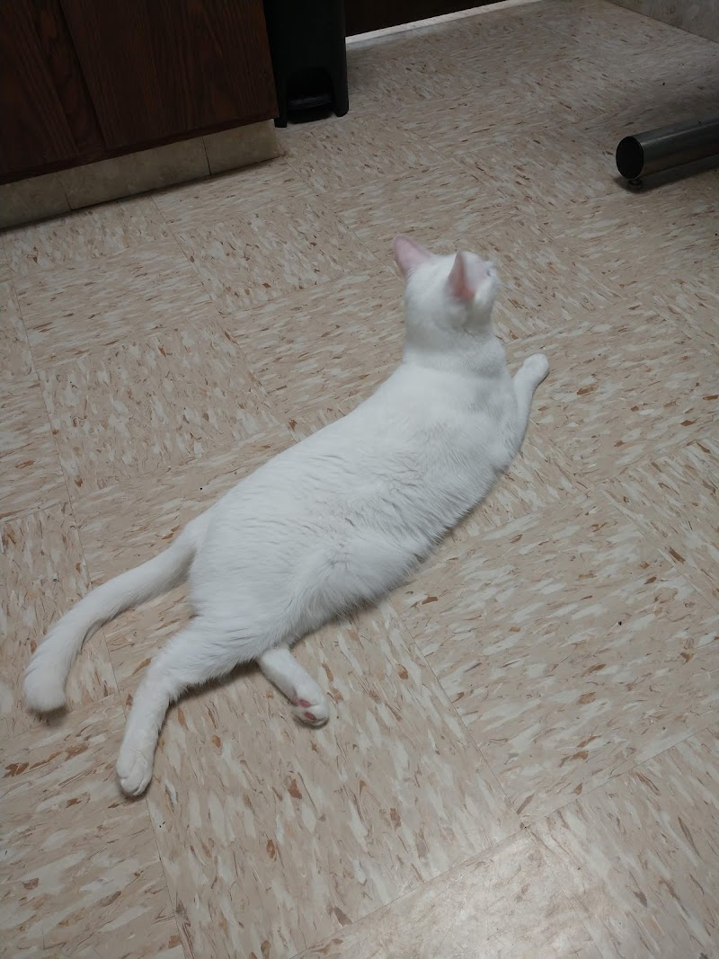 Southwest Animal Hospital photo 3