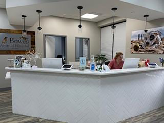 Bowes Animal Hospital