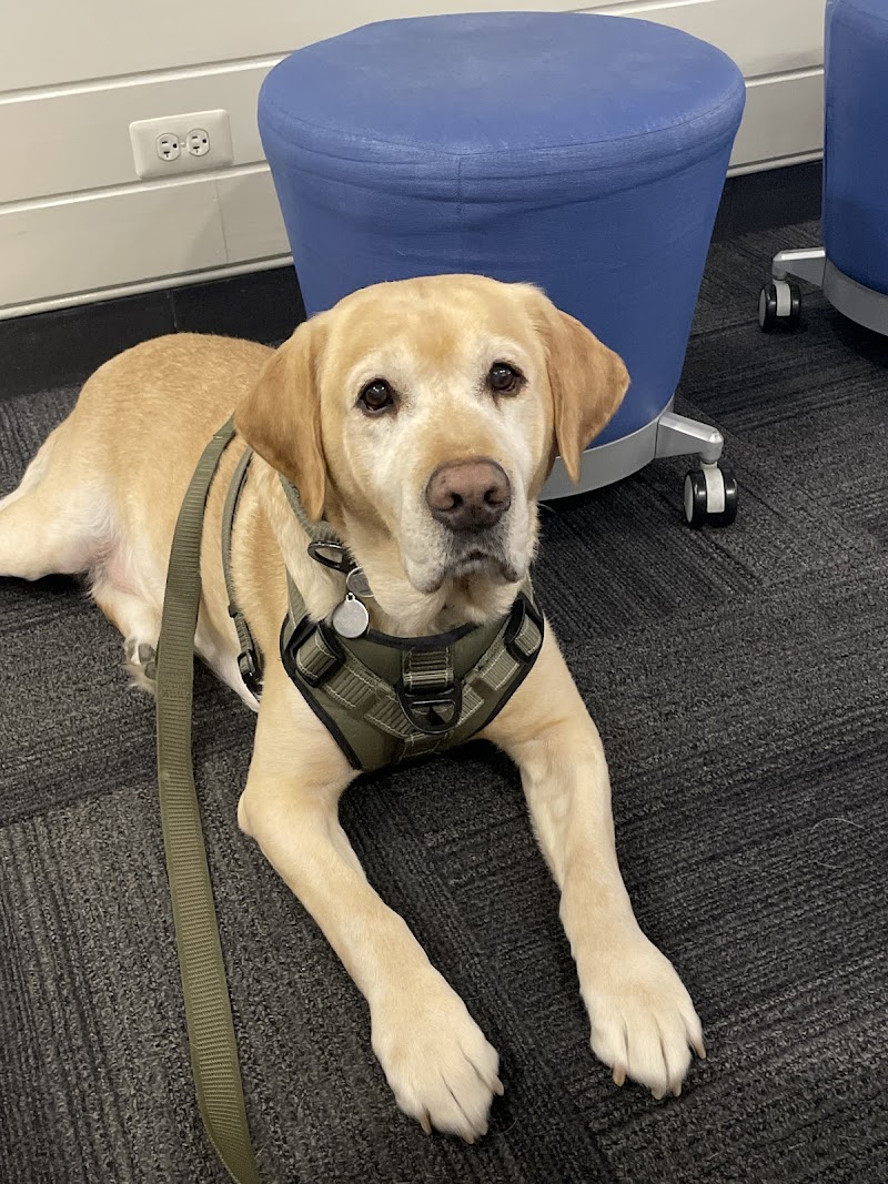 Bowes Animal Hospital photo 2