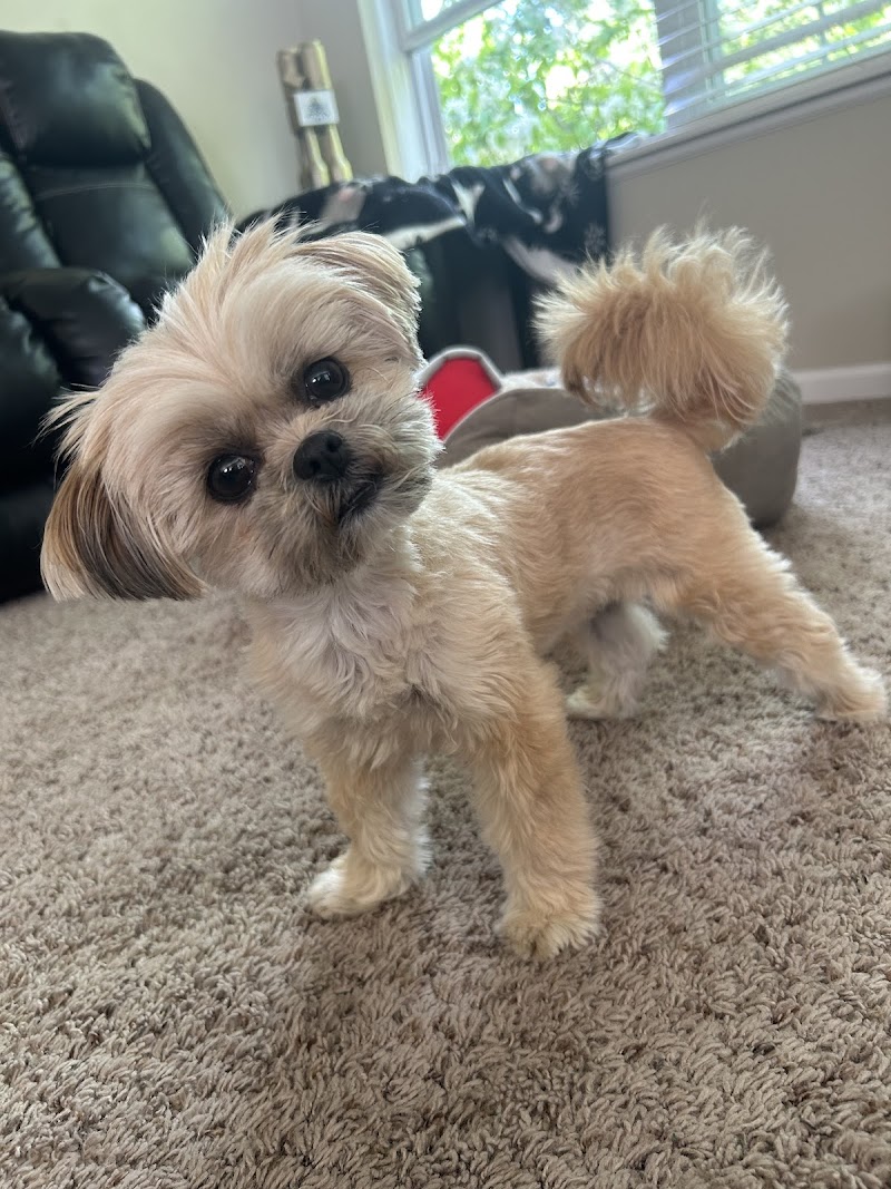 Bowes Animal Hospital photo 3