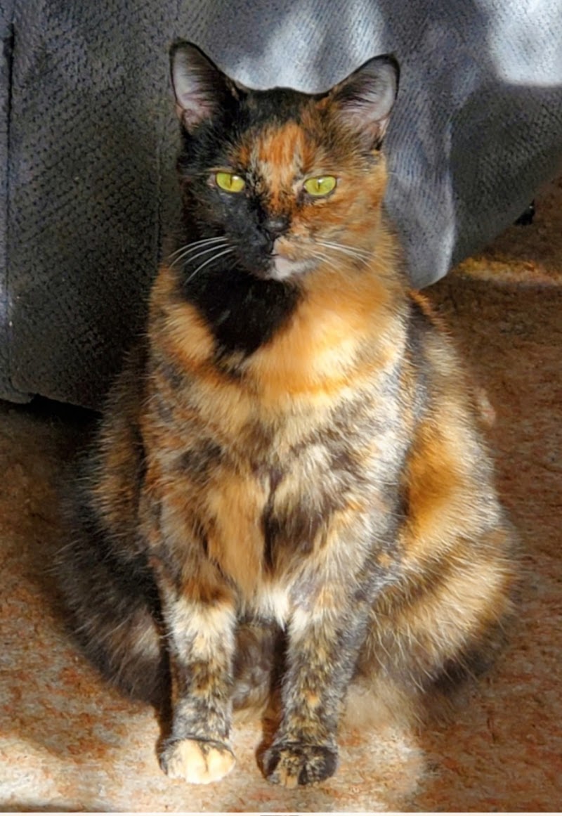 Animal Health Center Of N Olmsted photo 2