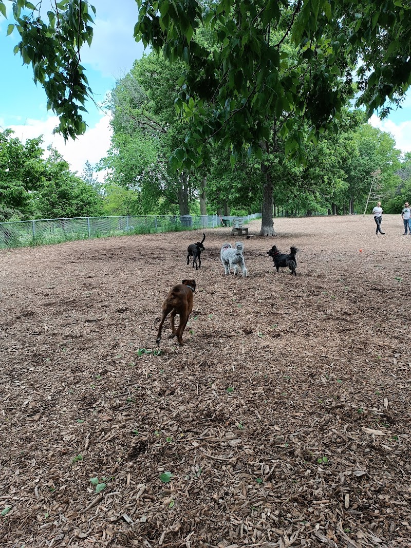 St. Anthony Off-Leash Recreation Area photo 3