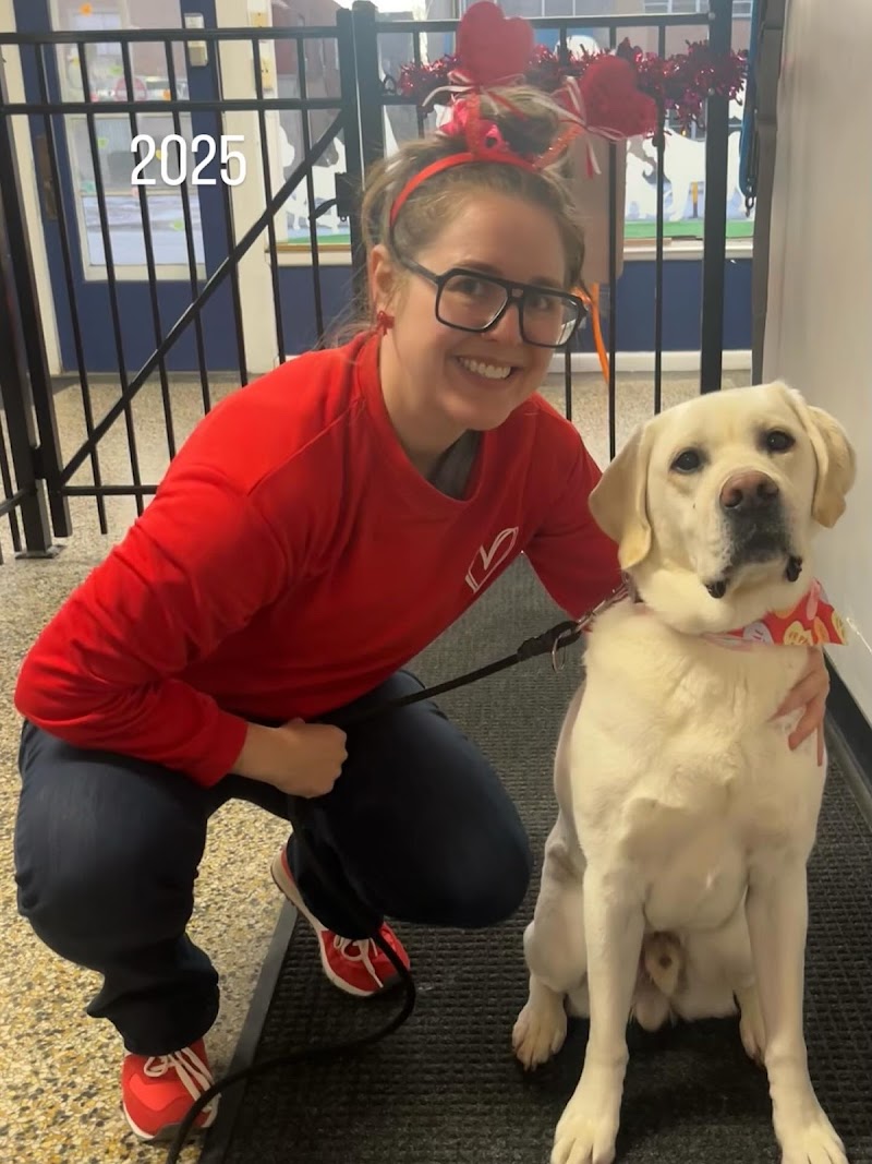 Process Canine photo 3