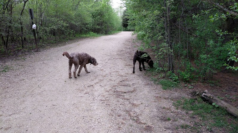 Katherine Kearney Carpenter Park