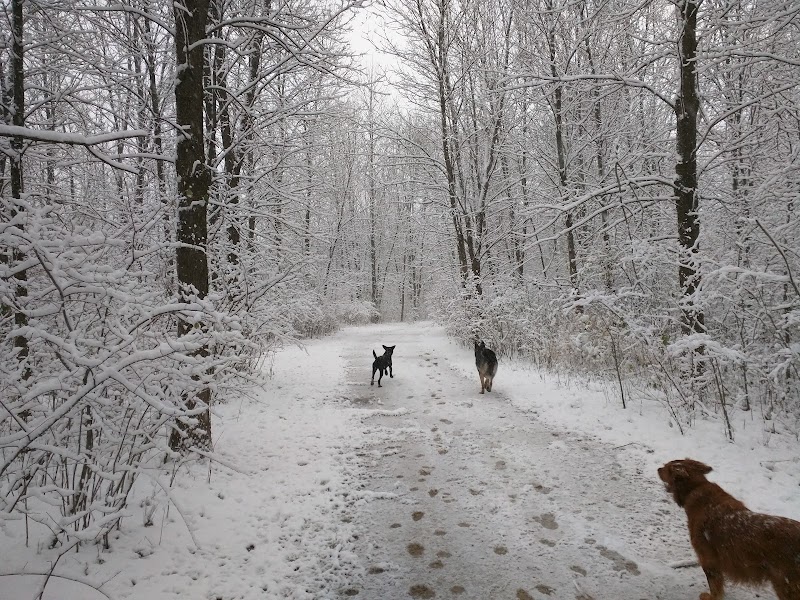 Katherine Kearney Carpenter Park photo 2