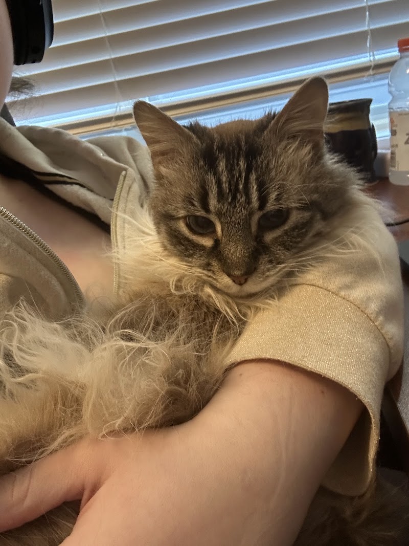 Carver Lake Veterinary Center photo 3