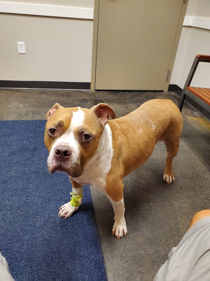 Dogwood Veterinary Referral Center