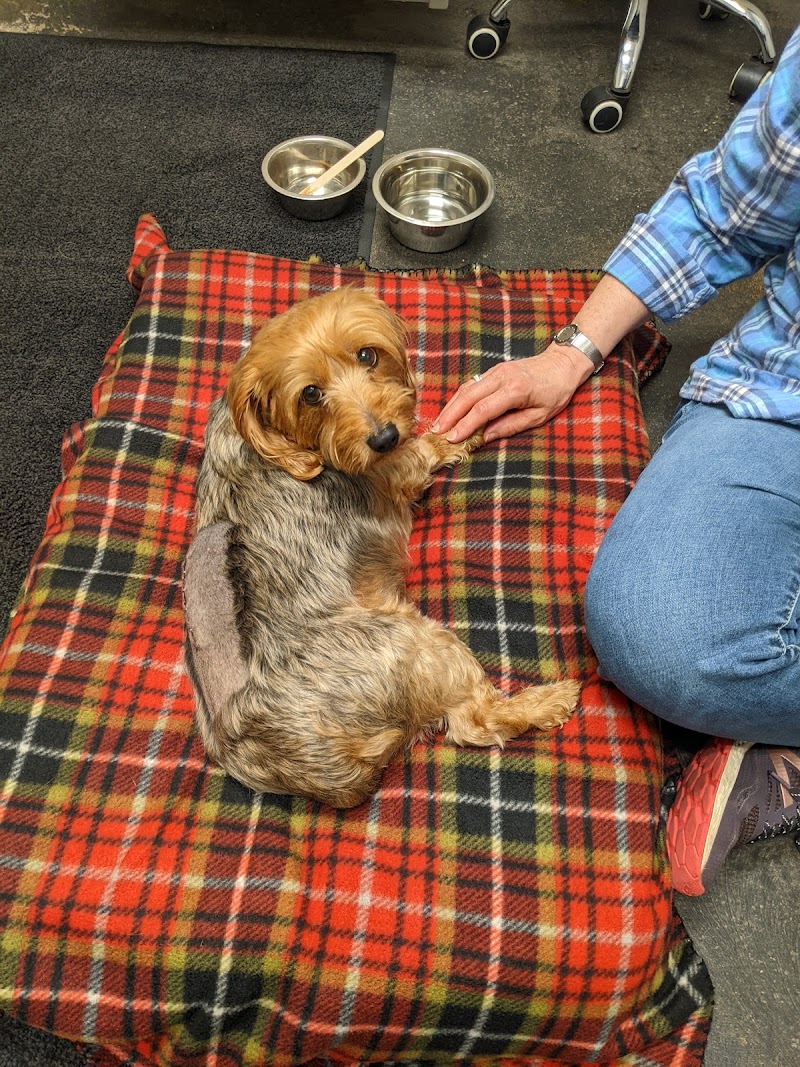 Dogwood Veterinary Referral Center photo 2