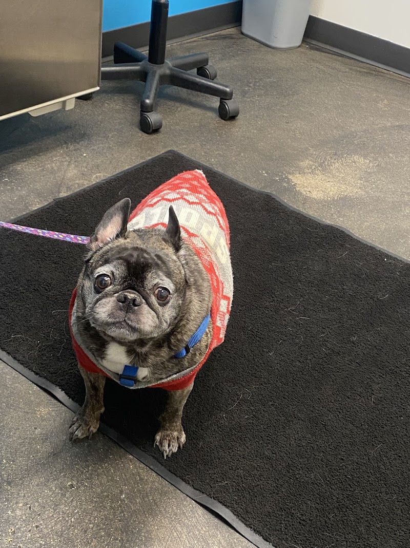 Dogwood Veterinary Referral Center photo 3