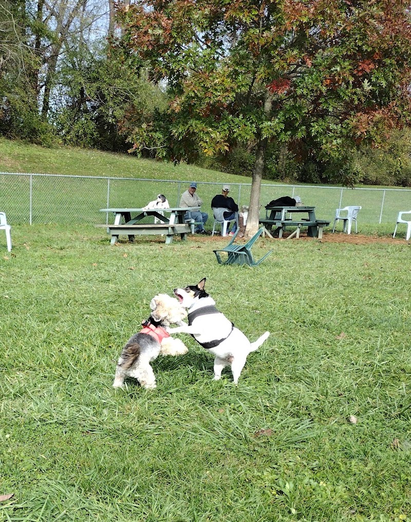 Canal Fulton Dog Park photo 2