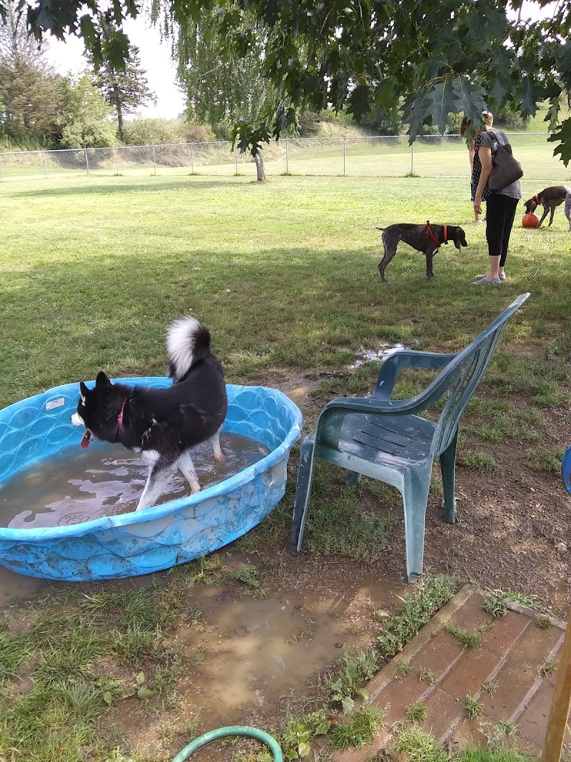 Canal Fulton Dog Park photo 3