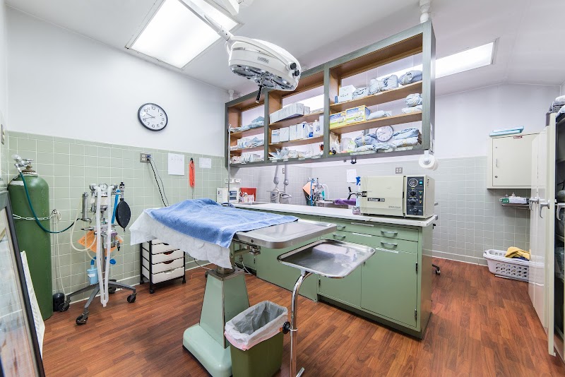 Knoll Animal Hospital photo 2