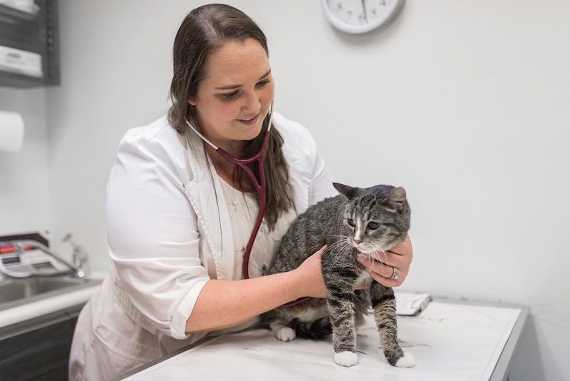 Knoll Animal Hospital photo 3