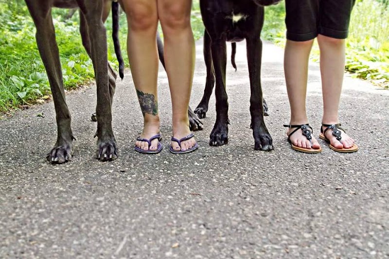 Shady Oak Veterinary Clinic