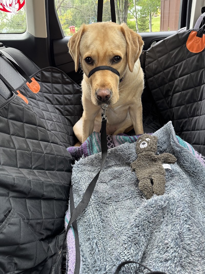 Shady Oak Veterinary Clinic photo 2