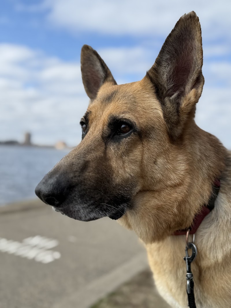 Shady Oak Veterinary Clinic photo 3