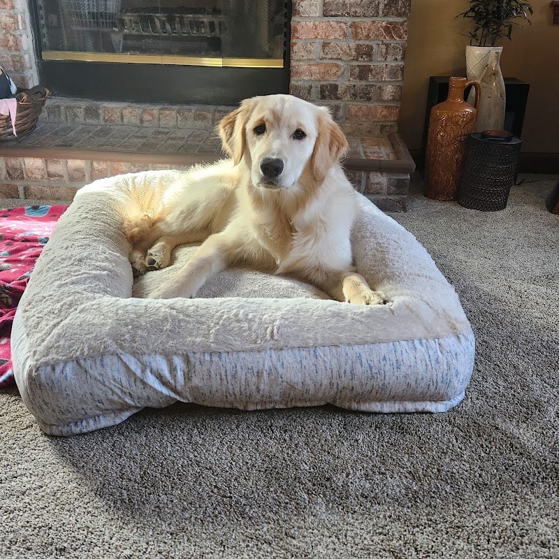 Happy Hounds photo 2