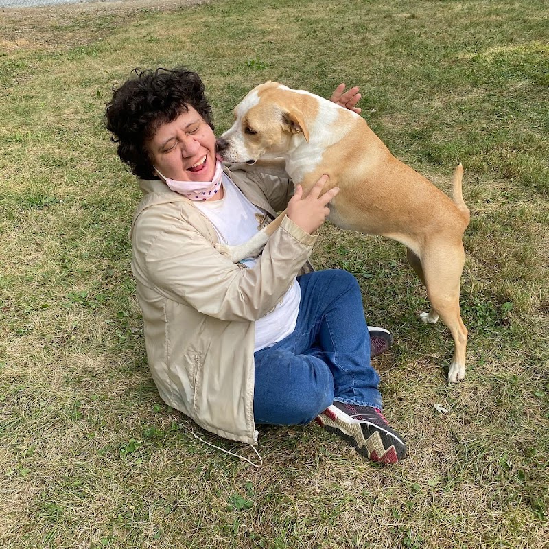 Happy Hounds photo 3