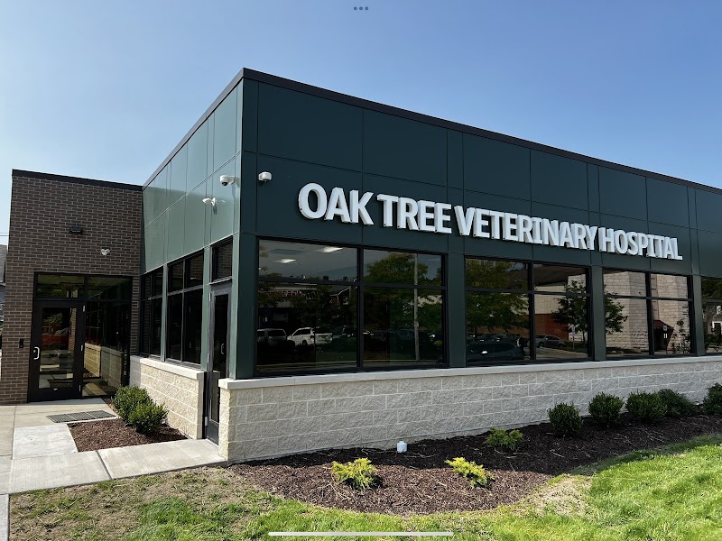 Oak Tree Veterinary Hospital photo 2