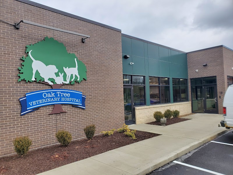 Oak Tree Veterinary Hospital photo 3